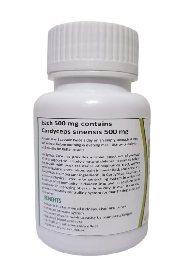 Cordyceps Capsule - Image 3