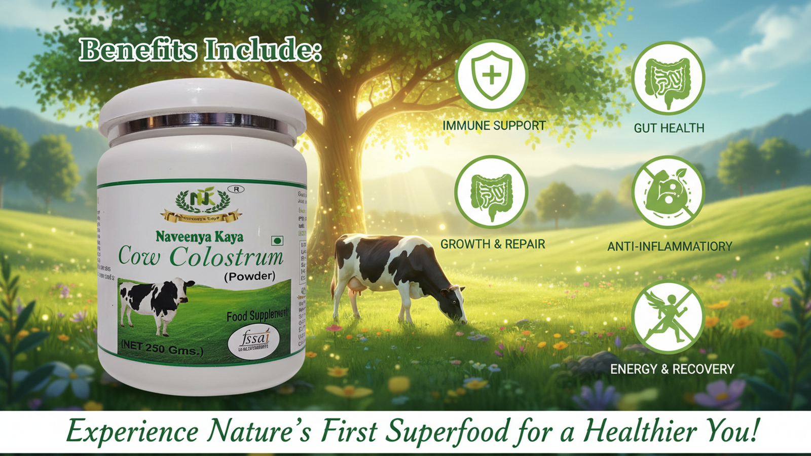 Cow Colostrum Powder 250 Gms - Image 8